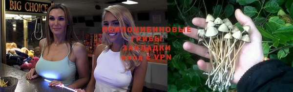 гашик Саяногорск