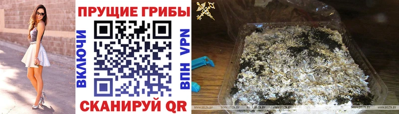 Галлюциногенные грибы Psilocybe  магазин  наркотиков  Агидель 